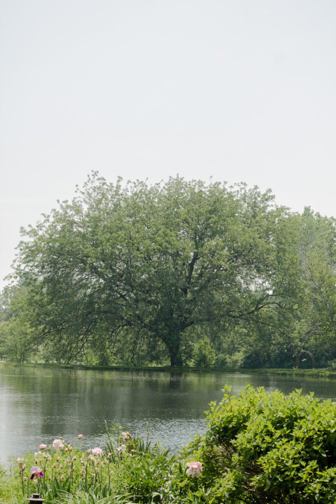 Walk the grounds with us | June at Fishermen's Inn