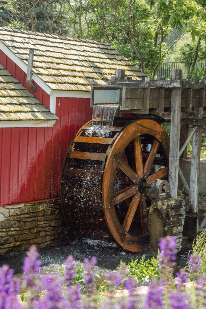 Walk the grounds with us | June at Fishermen's Inn